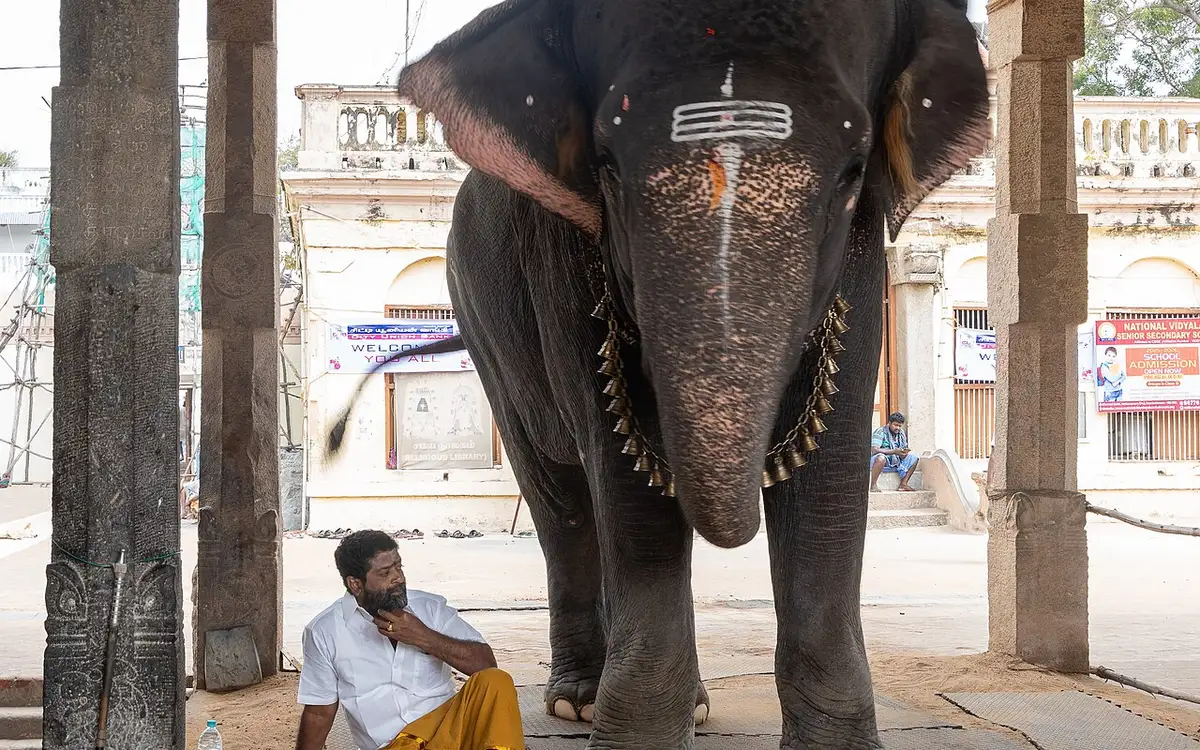 Adi Kumbeswarar Temple — Temple