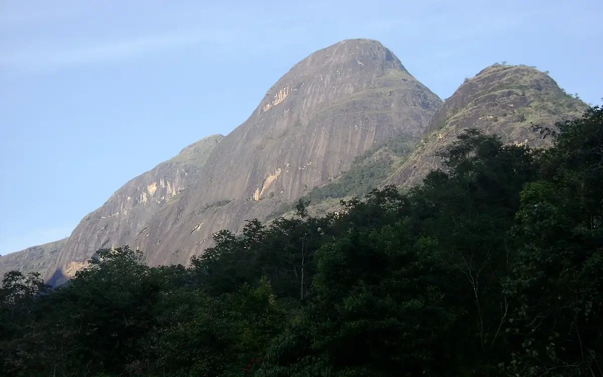 Anamalai Tiger Reserve — Wildlife