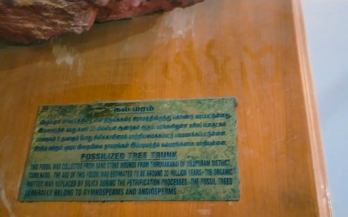 Arignar Anna Zoological Park — Wildlife
