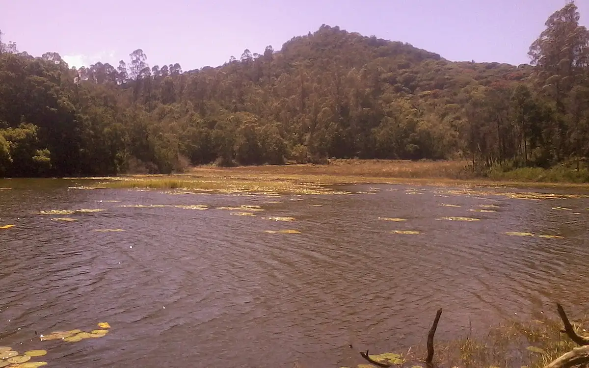 Berijam Lake — Dam