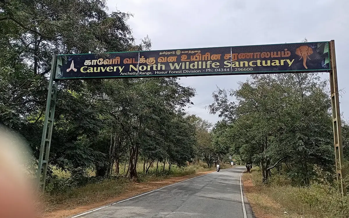 Cauvery North Wildlife Sanctuary (Krishnagiri sector) — Wildlife
