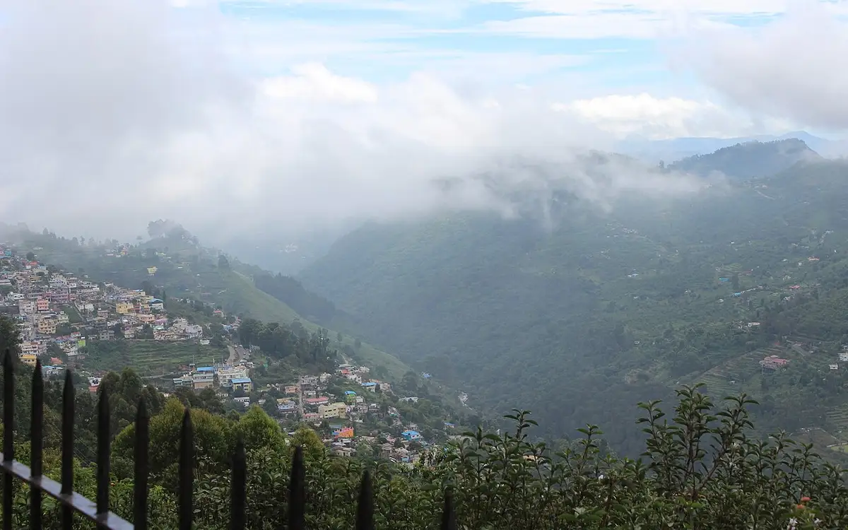 Coaker's Walk — Viewpoint