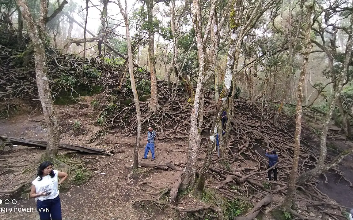 Guna Caves — Cave