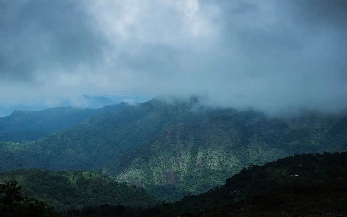 Kalakkad Mundanthurai Tiger Reserve — Wildlife