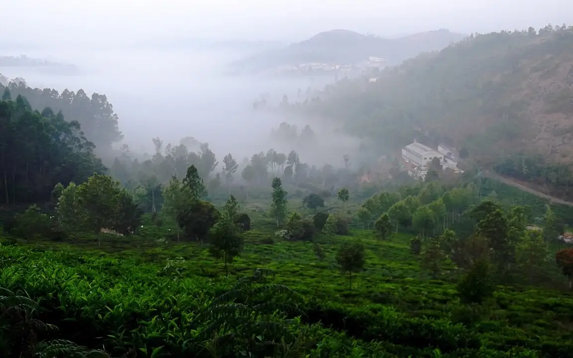 Kodanad View Point — Viewpoint