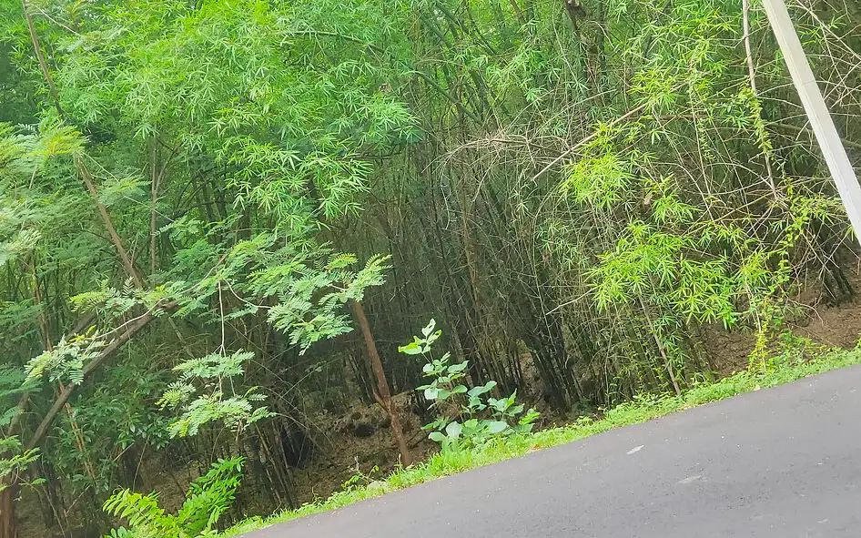 Kolli Hills — Viewpoint