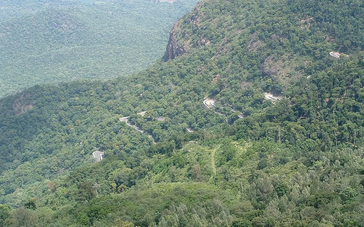 Lady's Seat — Viewpoint