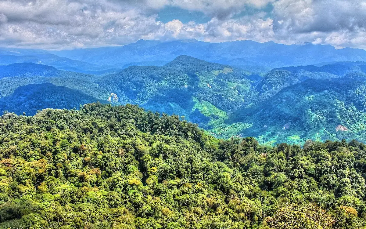 Nallamudi Poonjolai Viewpoint — Viewpoint