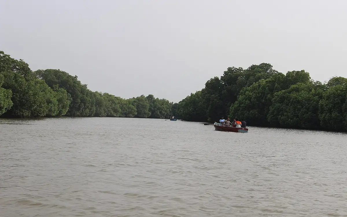 Pichavaram Mangrove Forest — Backwater