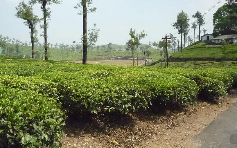 Valparai — Viewpoint