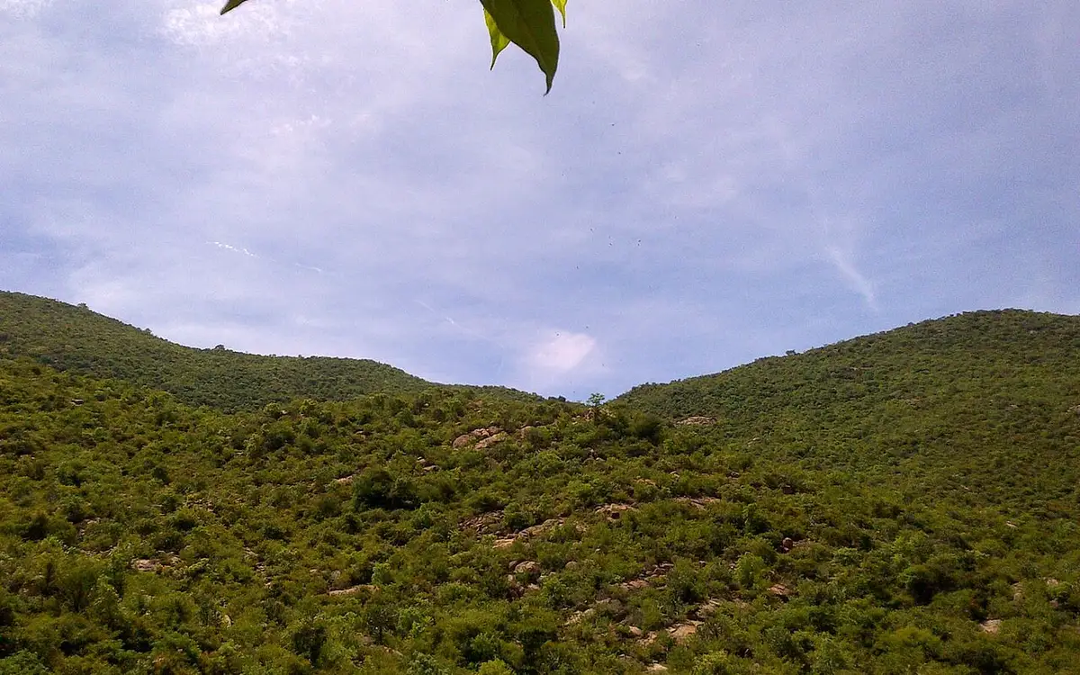 Vathalmalai (Vytla Hills) — Heritage