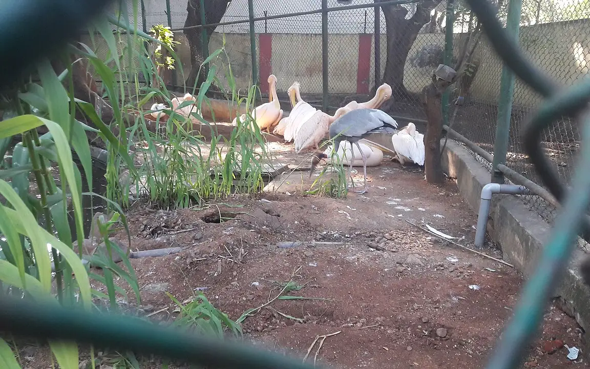 VOC Park and Zoo — Park