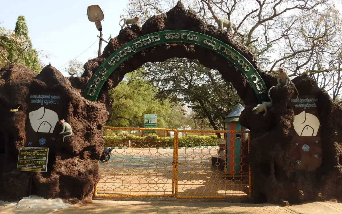 Binkadakatti Zoo — Attraction