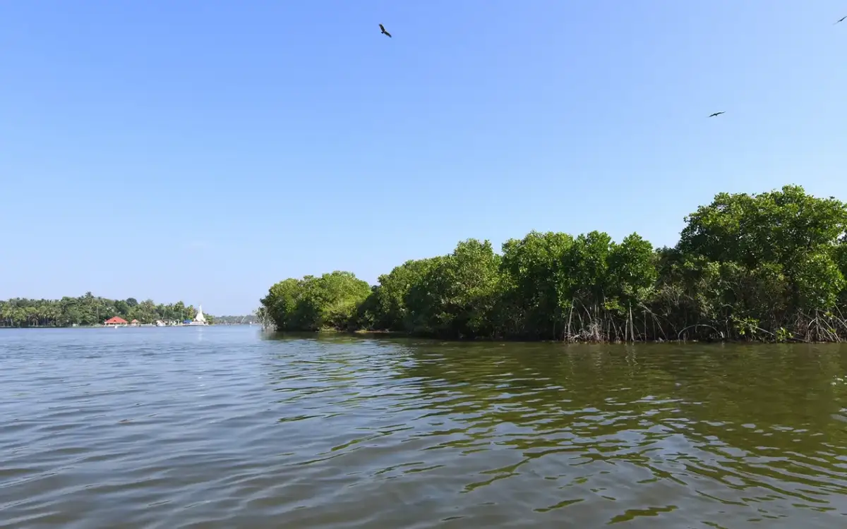 Sambranikodi DTPC Boating — Backwater boating in Kollam town
