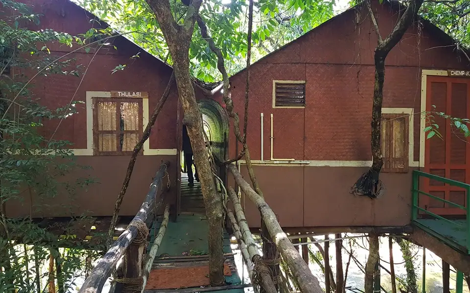 Adavi Tree Top Bamboo Huts — Forest stay in Konni