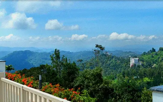 Chandy's Windy Woods Munnar — Luxury resort in Munnar