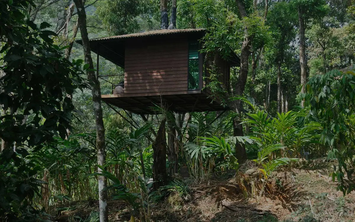 LanternStay Meppadi — Jungle resort in Meppadi and Chembra