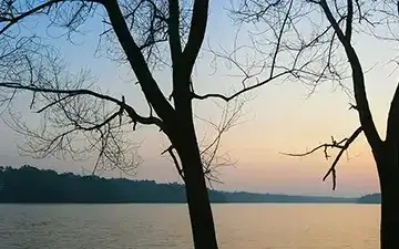 Manalar-Kumbhavurutty Eco-Contact Centre — Tour operator in Achankovil