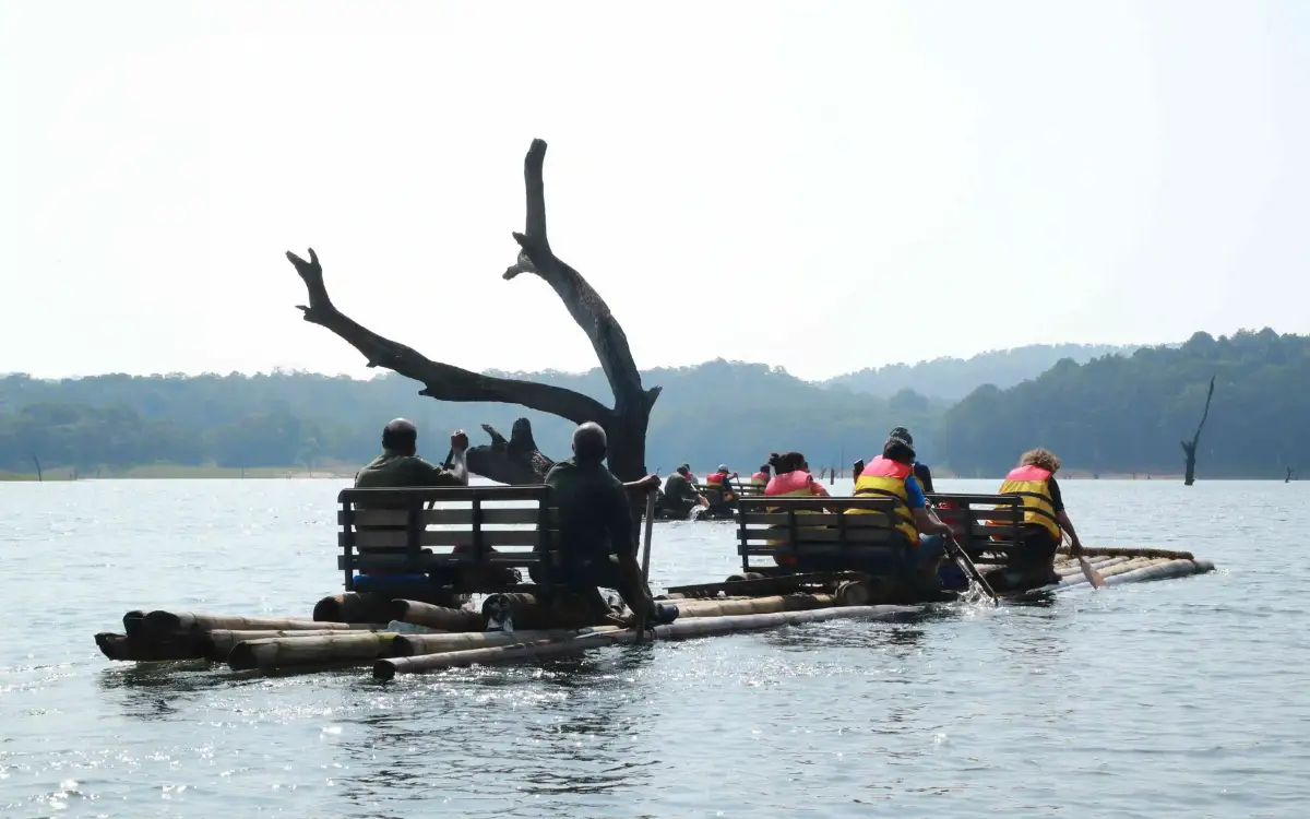Periyar Bamboo Rafting Official Booking — Official forest activity in Thekkady and Kumily