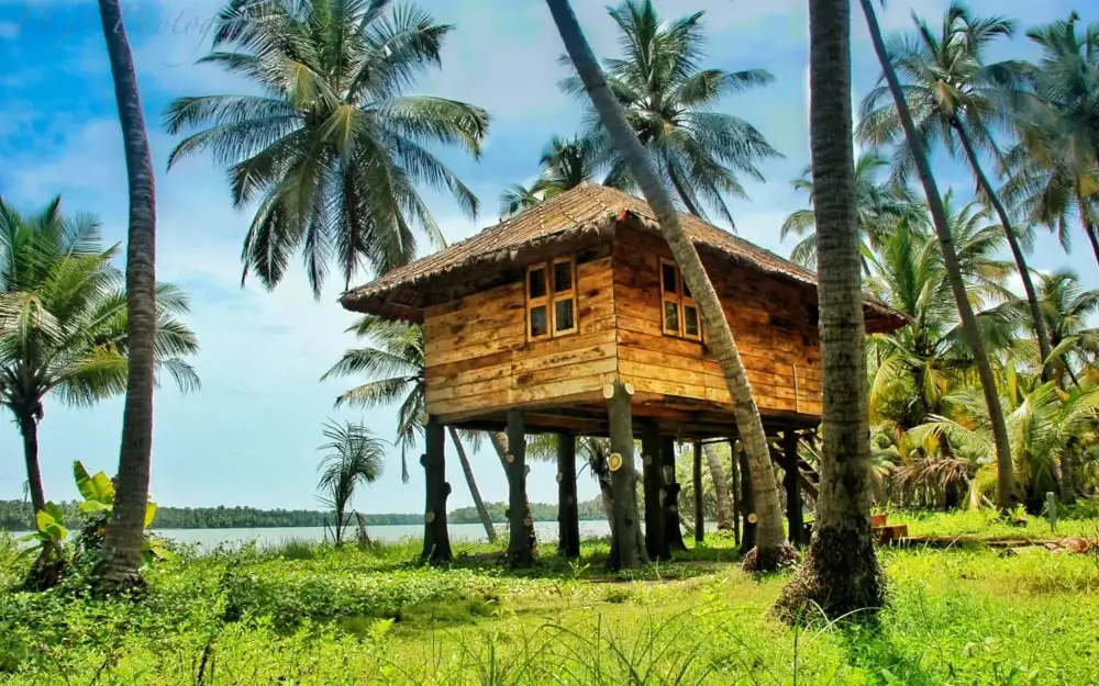 Executive Cottages