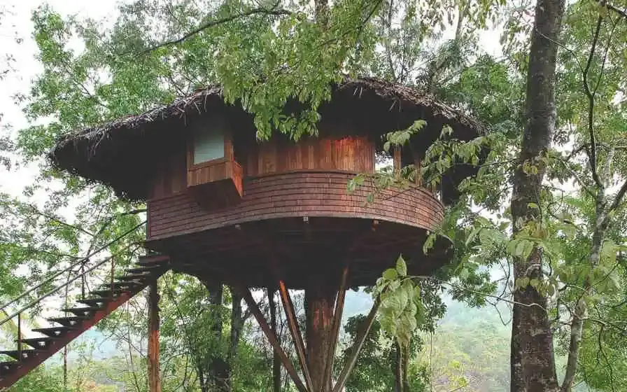 Rainforest Athirappilly’s raised timber treehouse and staircase among trees.