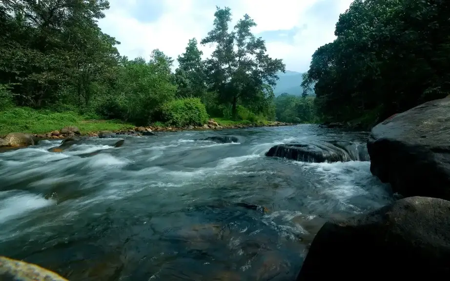 Ponmudi Kallar Meenmutty Trek Support — Waterfall walk and trekking support in Ponmudi