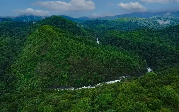 Silent Valley National Park Official — National park in Silent Valley and Mukkali