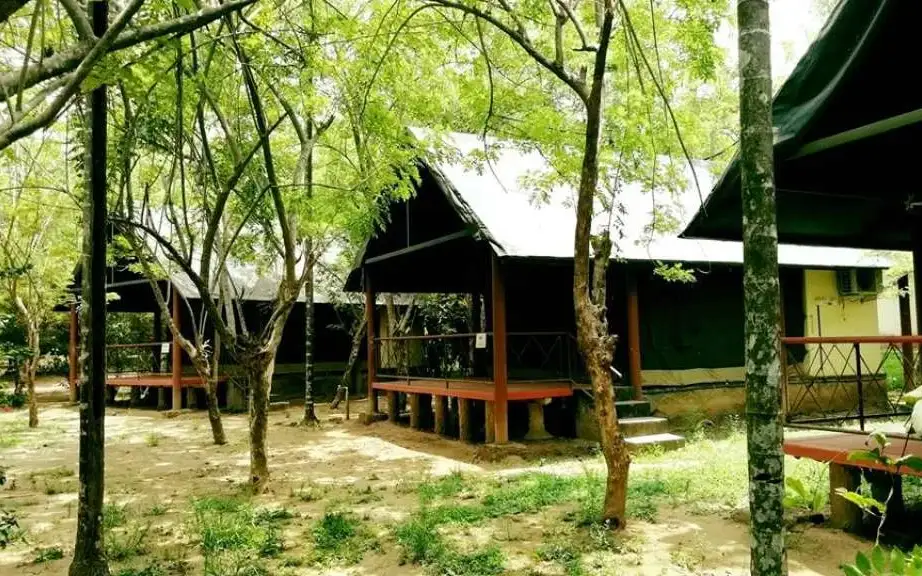 Hornbill Camp Thattekkad — Nature camp in Thattekkad