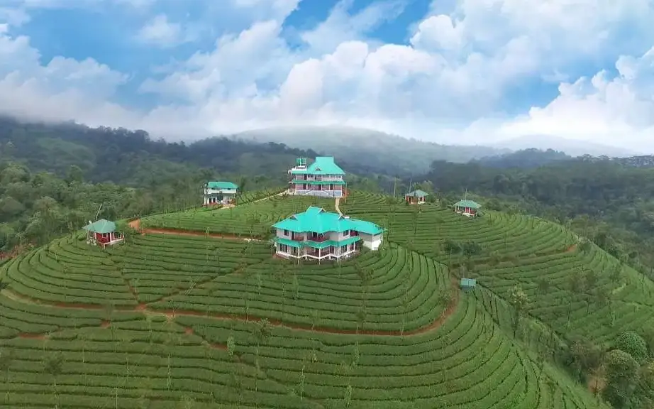 Green Hill Estate Vagamon — Tea-estate resort in Vagamon