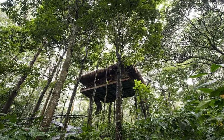 Pepper Trail Wayanad — Plantation resort in Sulthan Bathery