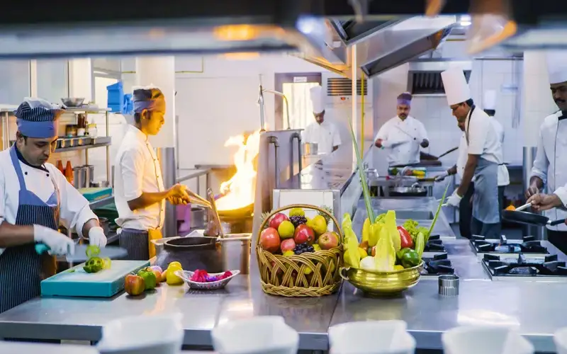 Patio Restaurant, The Elephant Court — Multi-cuisine restaurant in Thekkady and Kumily