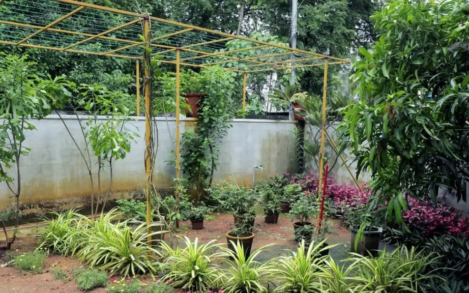 Bethel Homestay Thiruvallam — Homestay in Thiruvananthapuram city