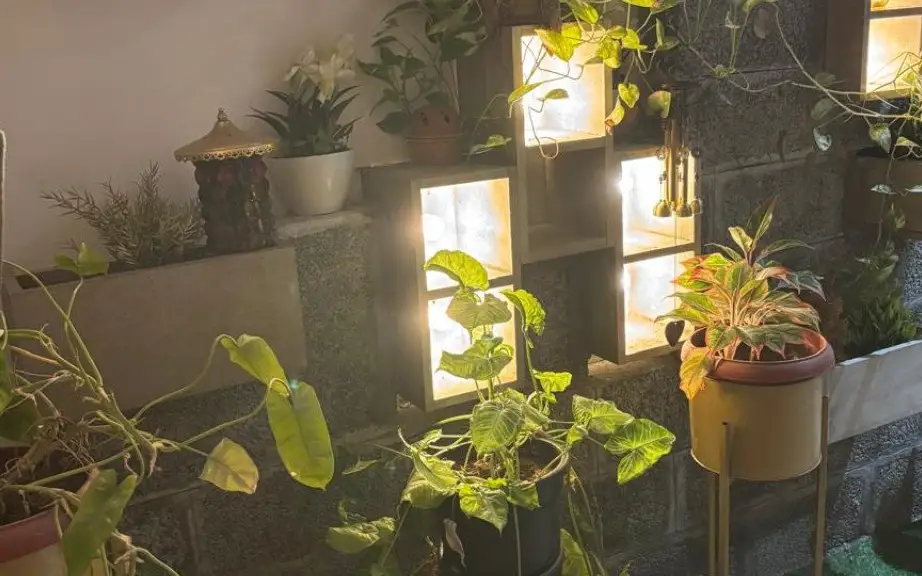 Homestay Mannath property or offering in its Kerala Tourism listing; confirm present condition and the exact room directly.
