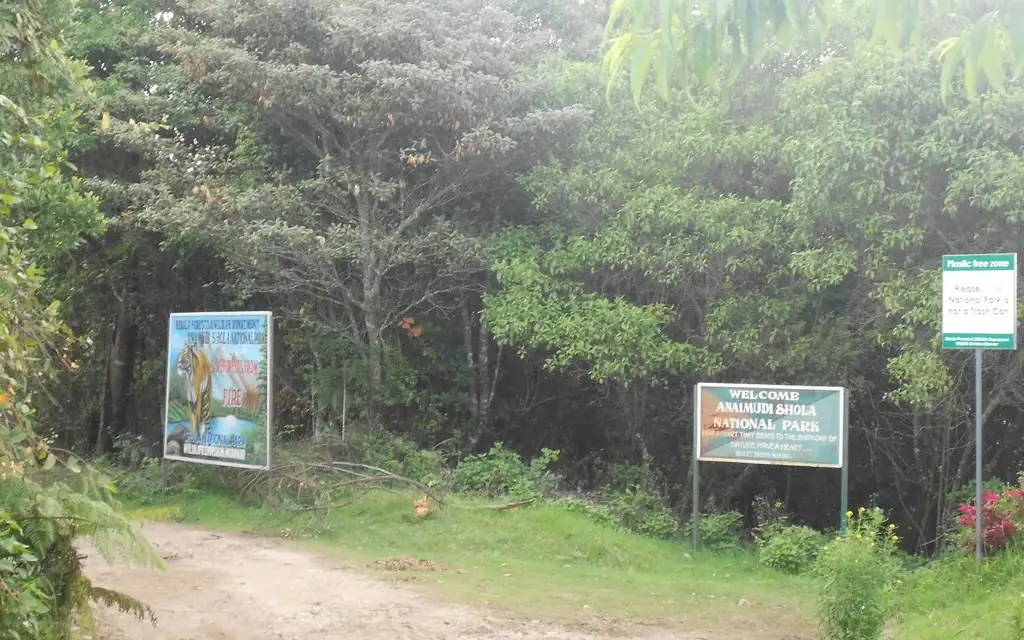 Anamudi Shola — Wildlife in Munnar