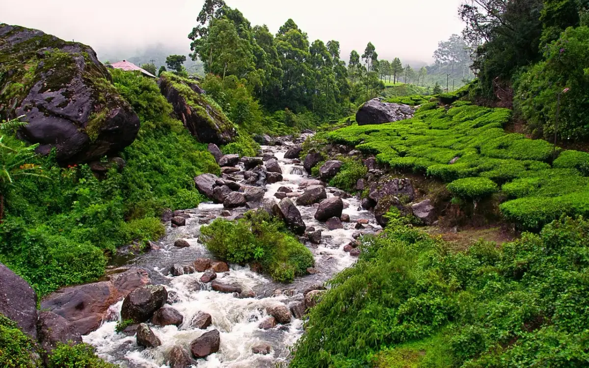 Nayamakad Waterfalls — Waterfall in Munnar