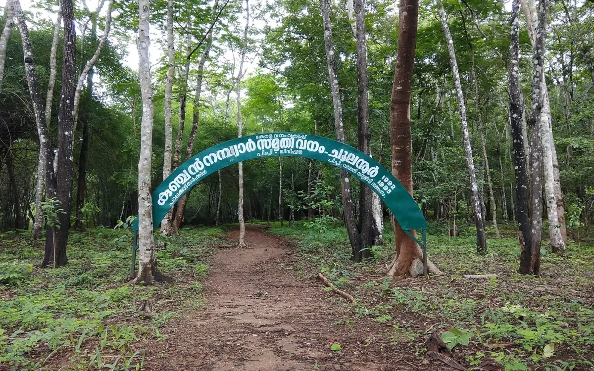 Choolannur Peafowl Sanctuary — Wildlife in Palakkad town