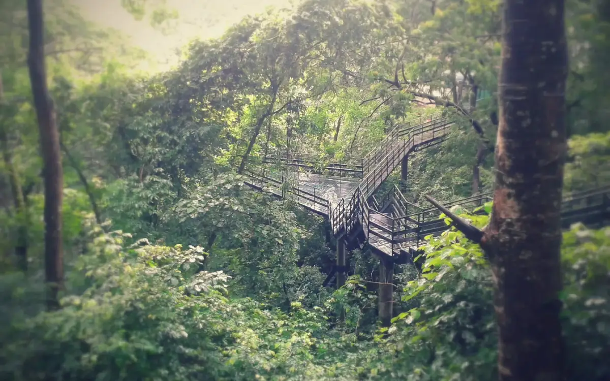 Thenmala trekking — Trek in Thenmala