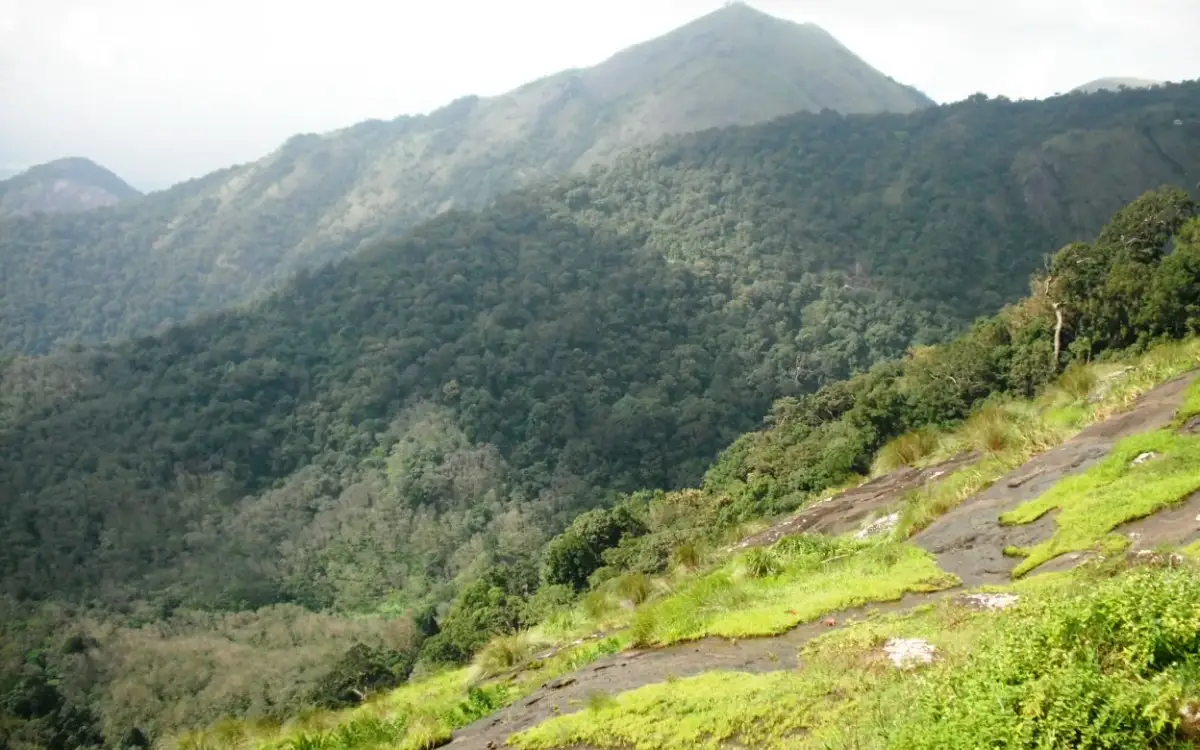 Karadipara — Viewpoint in Nelliyampathy