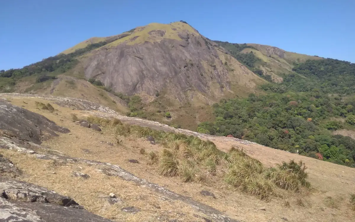 Nelliyampathy trek — Trek in Nelliyampathy