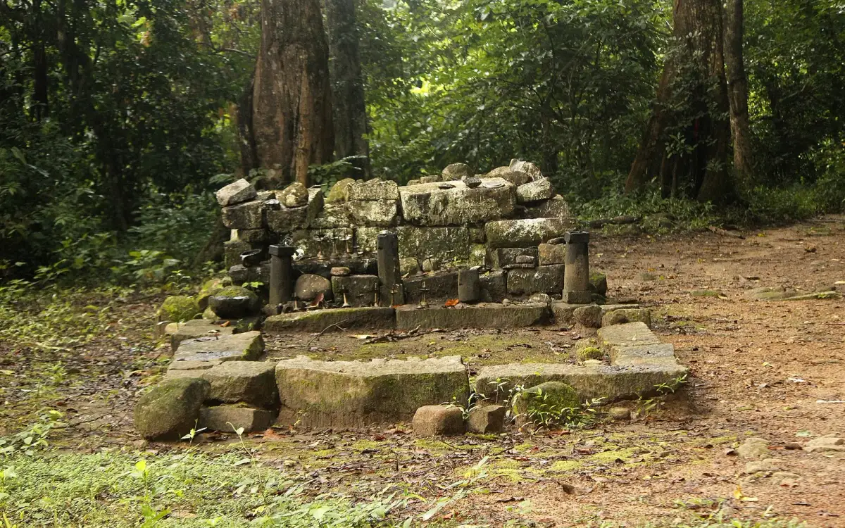 Rosemala trek — Trek in Thenmala