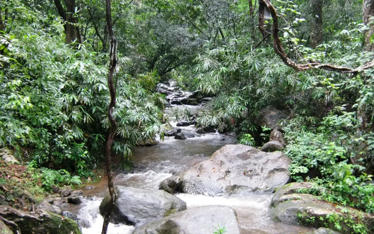 Kallar Meenmutty Falls — Waterfall in Ponmudi