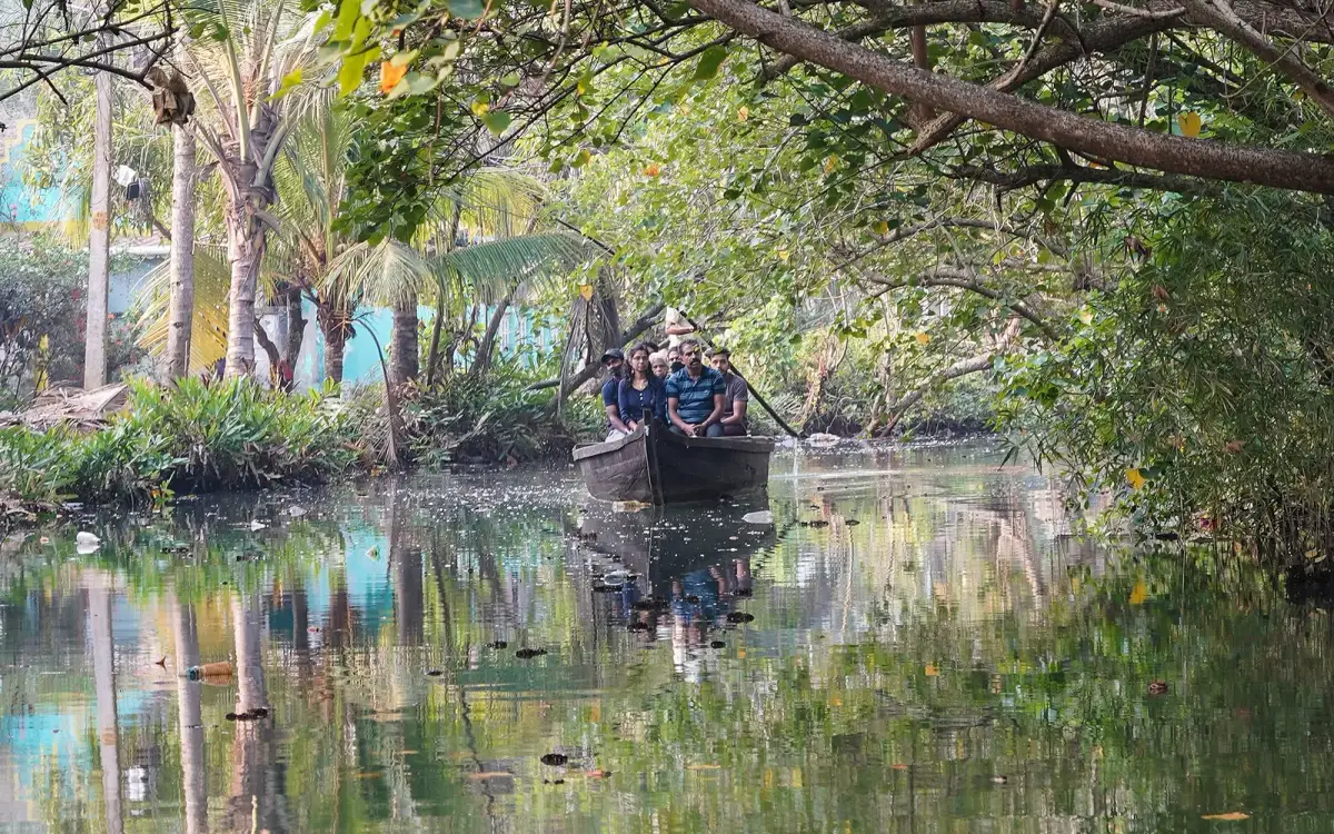 Munroe canals — Backwater in Munroe Island