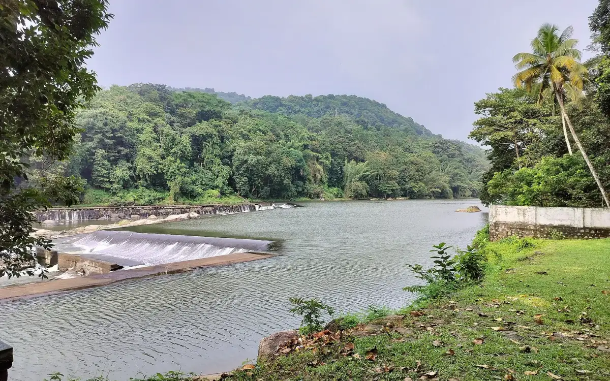 Thumboormuzhi Dam — Dam in Thrissur city
