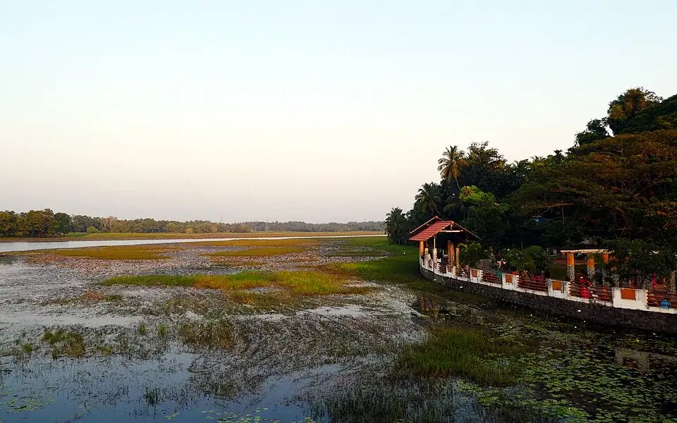Biyyam Kayal — Backwater in Ponnani