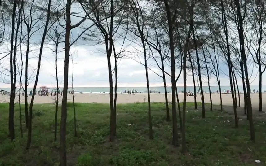Padinjarekara Beach — Beach in Ponnani