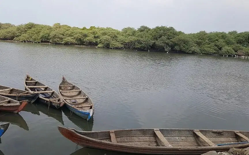 Bharathapuzha estuary — Backwater in Ponnani