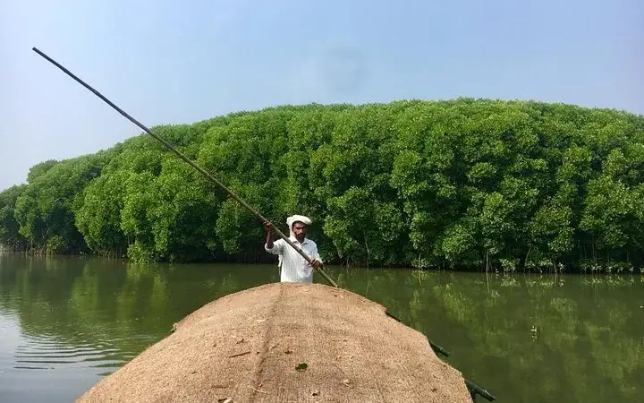 Tyndis Calicut Mangrove and Beypore Tours — Experiential tour operator in Beypore