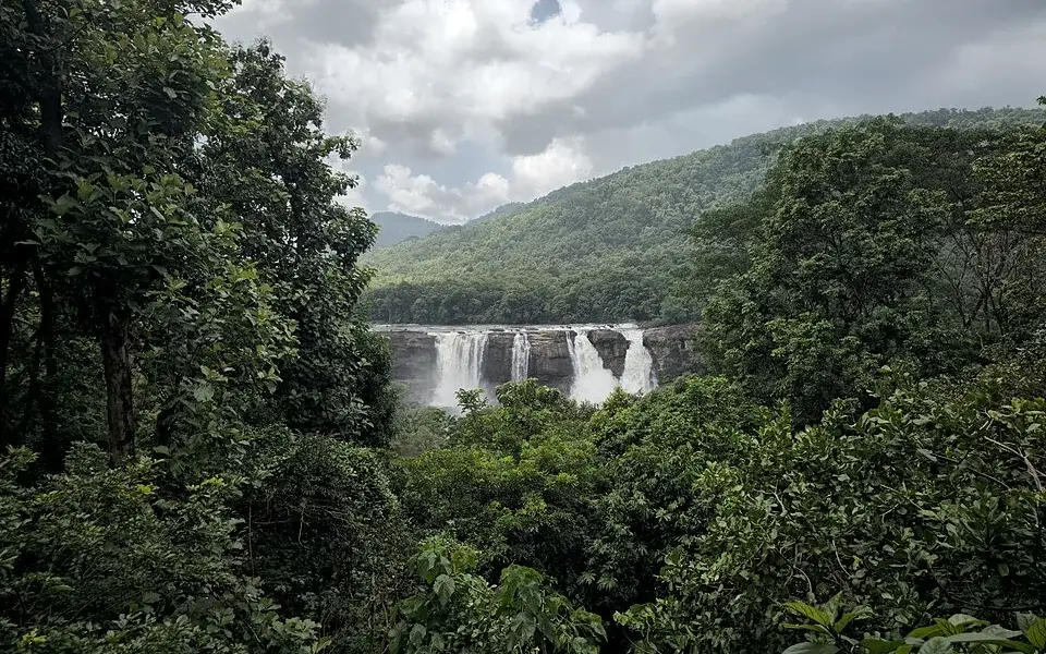 Nadukani trek — Trek in Athirappilly and Vazhachal