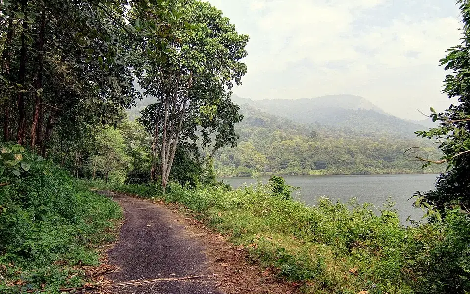 Chimmony trek — Trek in Thrissur city