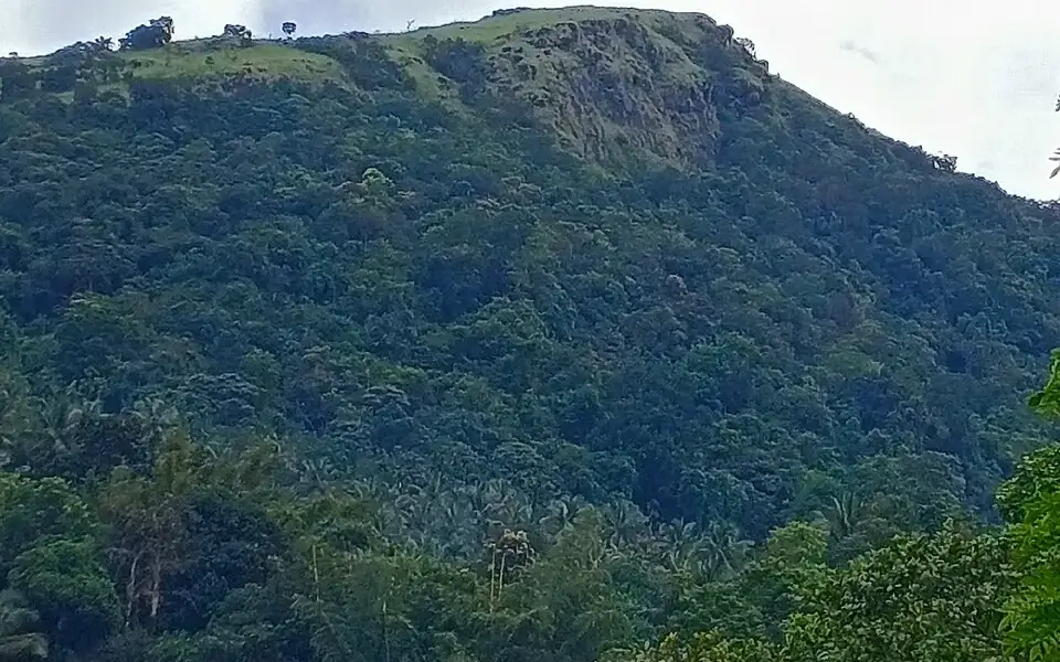 Kottancheri Hills trek — Trek in Ranipuram